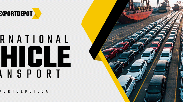 international vehicle transport