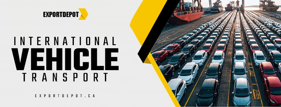 international vehicle transport
