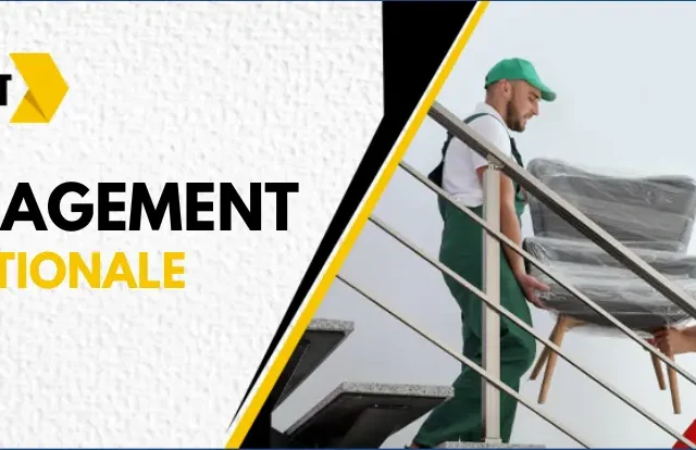 déménagement commercial international