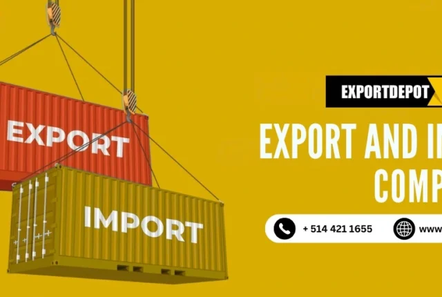 Export and Import Companies