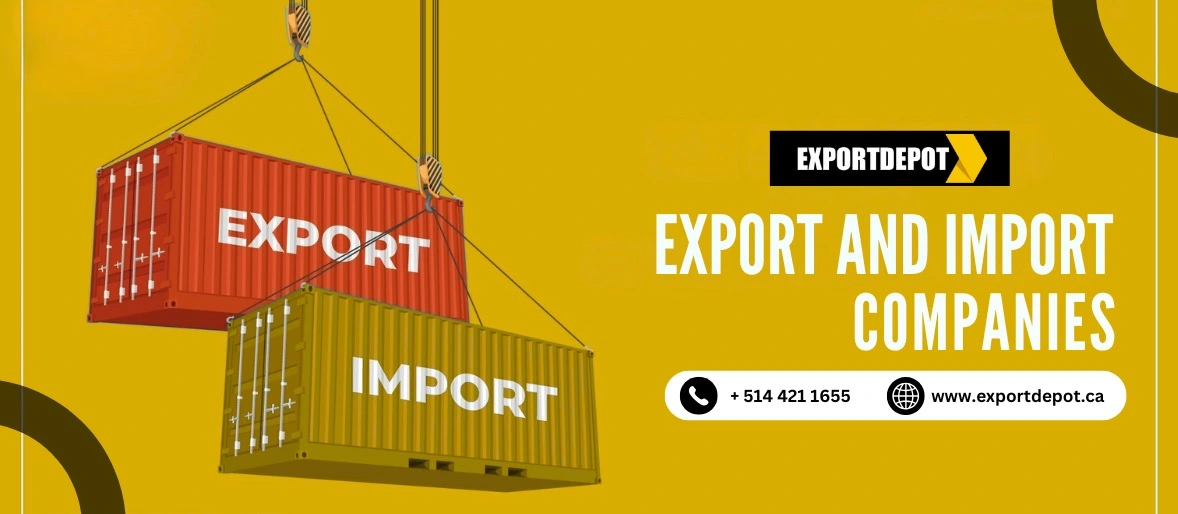 Export and Import Companies