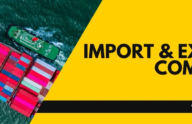 export and import companies