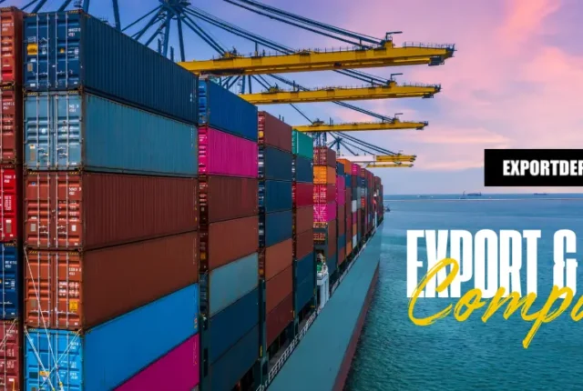 Export and Import Companies