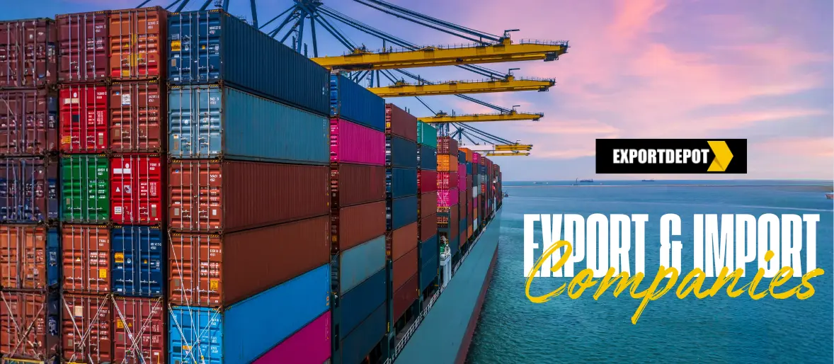 Export and Import Companies